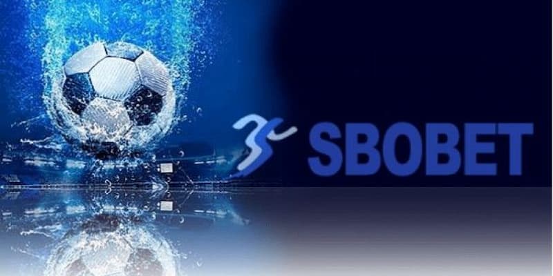 Khám phá chi tiết về sbobet