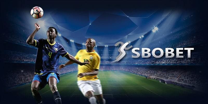 Lợi thế khi chơi cá cược tại sbobet