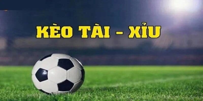 Tìm hiểu cơ bản về kèo tài xỉu