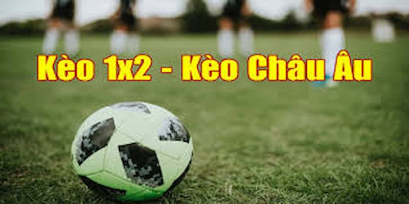 Tìm hiểu khái niệm và vai trò của kèo châu âu